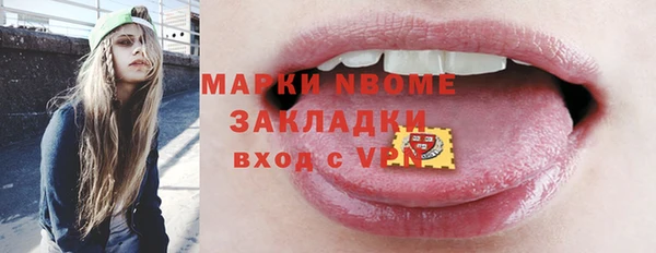 винт Верея