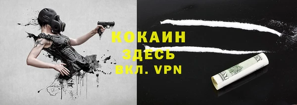 винт Верея