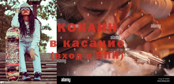 винт Верея