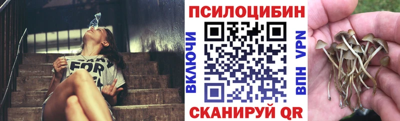 Купить где  Ува  Псилоцибиновые грибы Psilocybine cubensis 